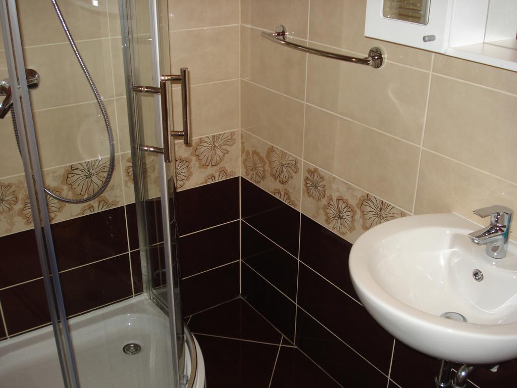 نوفي فينودولسكي Apartment House Danica الغرفة الصورة